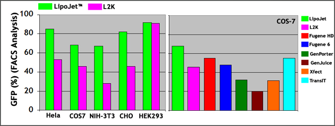 LipoJet Transfection Reagent